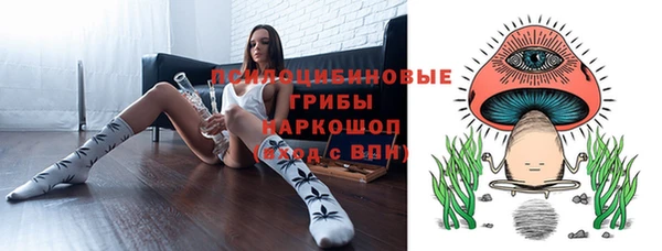 каннабис Новозыбков