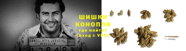 каннабис Новозыбков