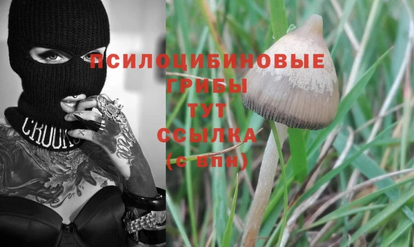 mdma Новодвинск