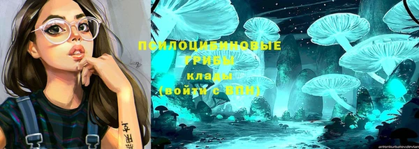 mdma Новодвинск