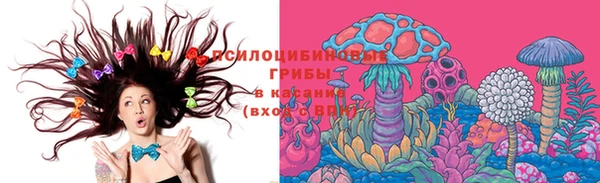 mdma Новодвинск