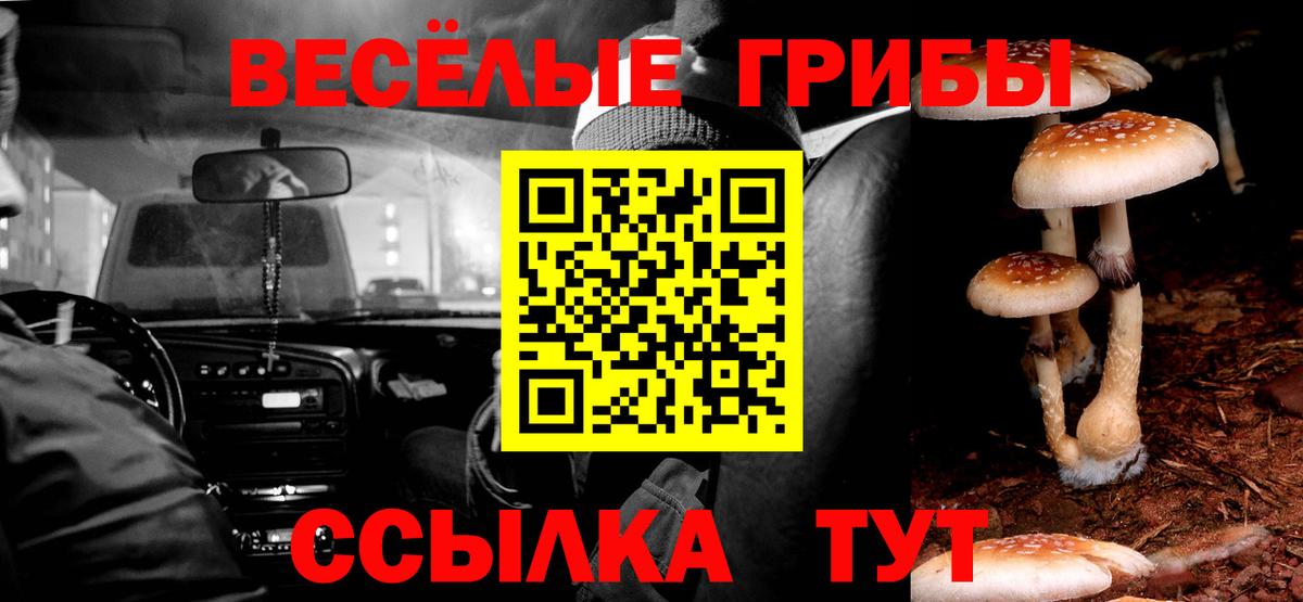 где купить наркоту  Вход с VPN  Псилоцибиновые грибы Psilocybine cubensis  Саратов  Галлюциногенные грибы GOLDEN TEACHER 