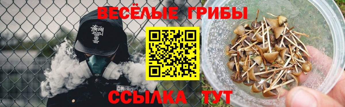 Каннабис  Альфа ПВП СК кристаллы  МЕФ   Вход с VPN  Саратов  ГАШ  Меф 